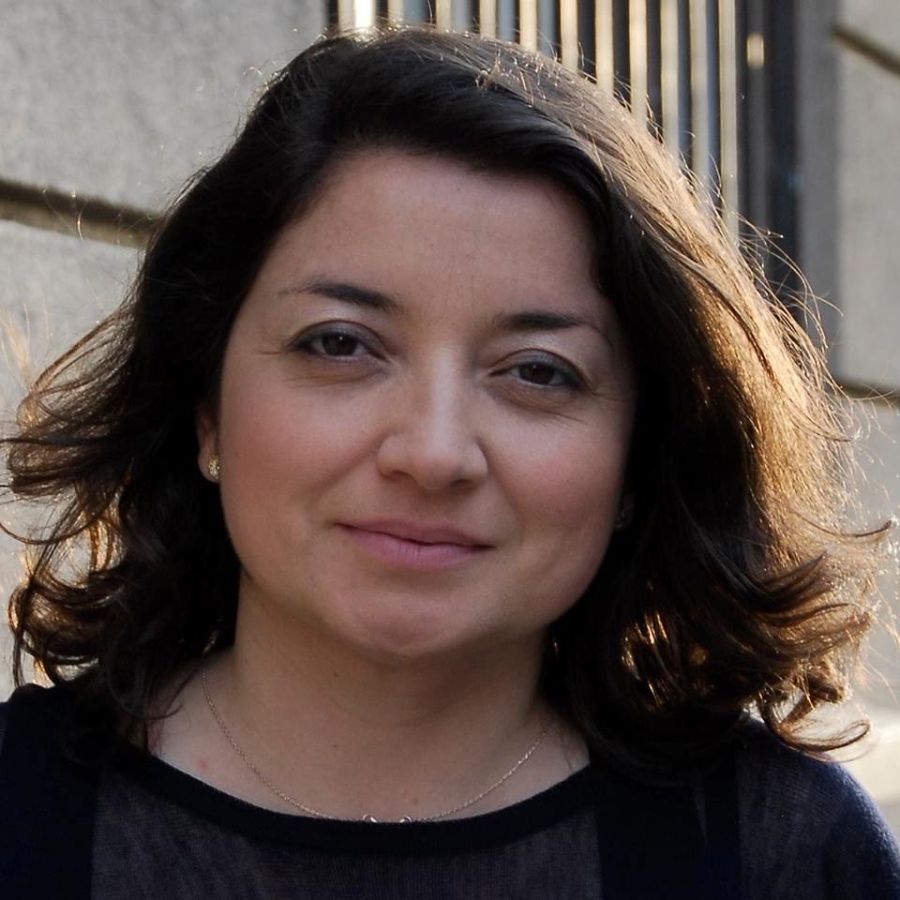 Tania Tamayo Grez, académica del ICEI