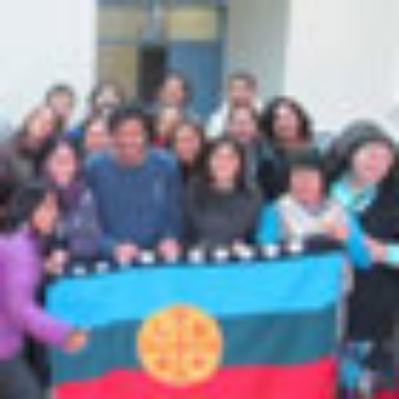 Profesores del ICEI realizan taller a organizaciones ligadas a la comunidad mapuche