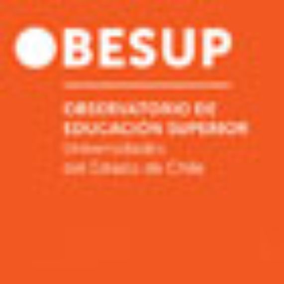 Directora del ICEI participa en Seminario sobre el lucro en las universidades 