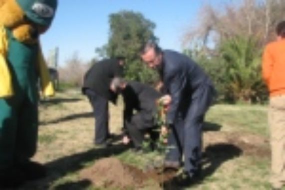 El Rector Víctor Pérez, plantando el primer árbol en Campus Juan Gómez Millas