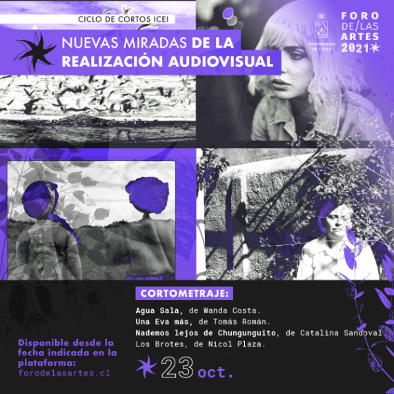 Ciclo nuevas miradas de la realización audiovisual